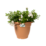 green basics campana 40cm terre cuite doux
